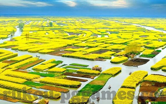 足球吧足球比分-足球吧，足球比分的实时脉搏与球迷狂欢的舞台