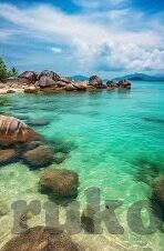 足球新浪比分直播-探秘足球新浪比分直播，实时数据背后的激情与科技交响曲
